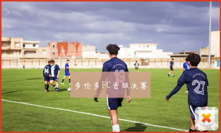 多伦多FC晋级决赛